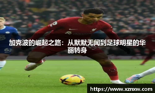 星空综合(中国)官方网站